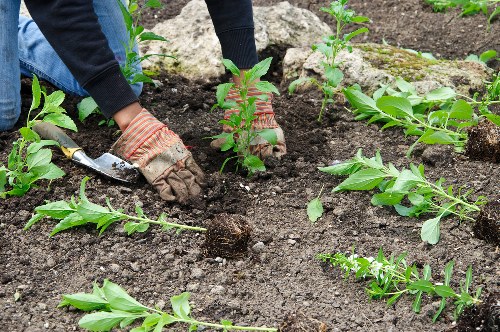 Volunteers working in a Shoreditch community garden with recycling bins