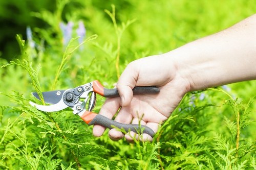 Close-up of garden maintenance tools and notes
